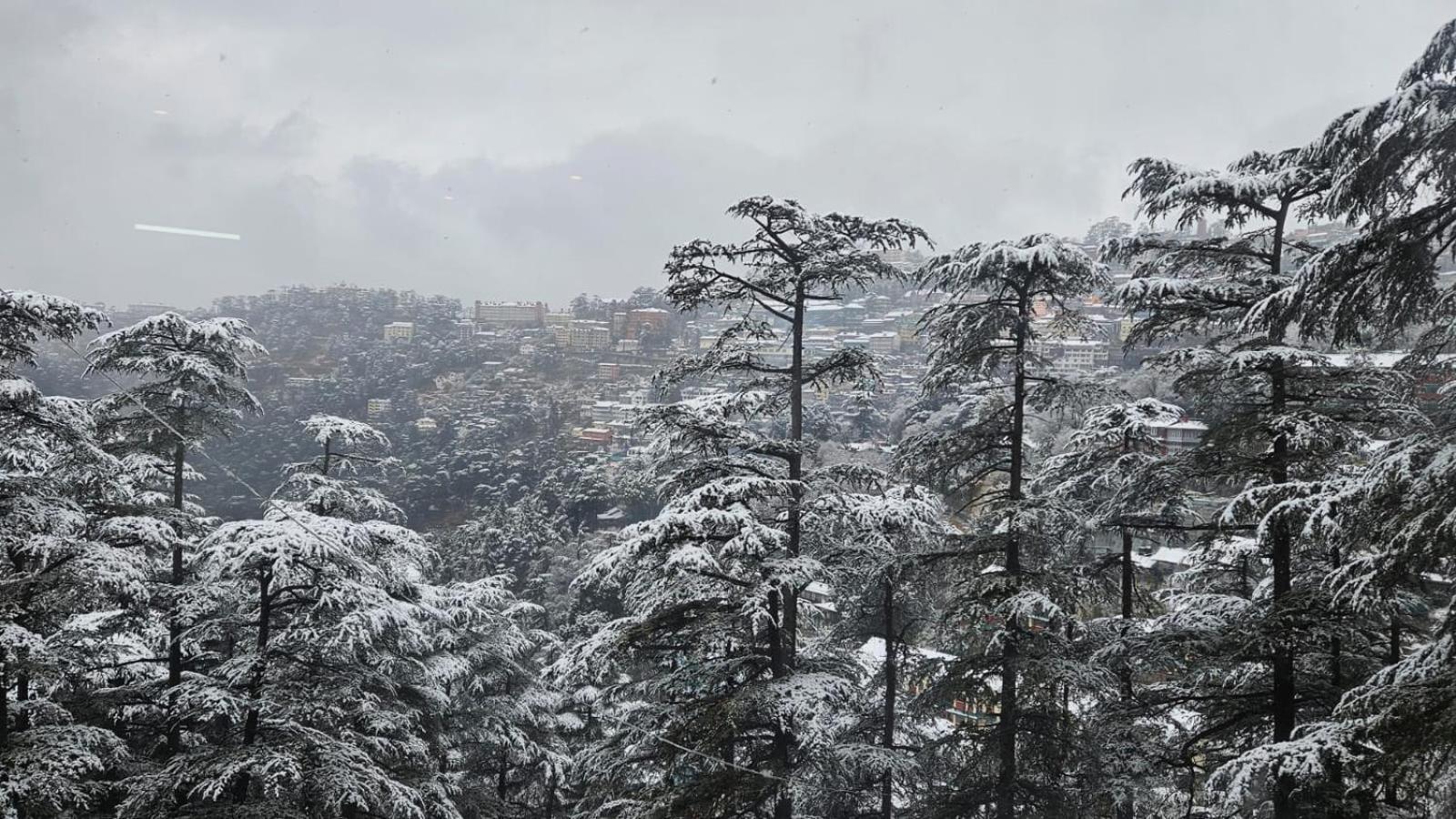The Central Vista - Simla Royale Near Mall Road Free Pickup From Railway Station Simla Exterior foto